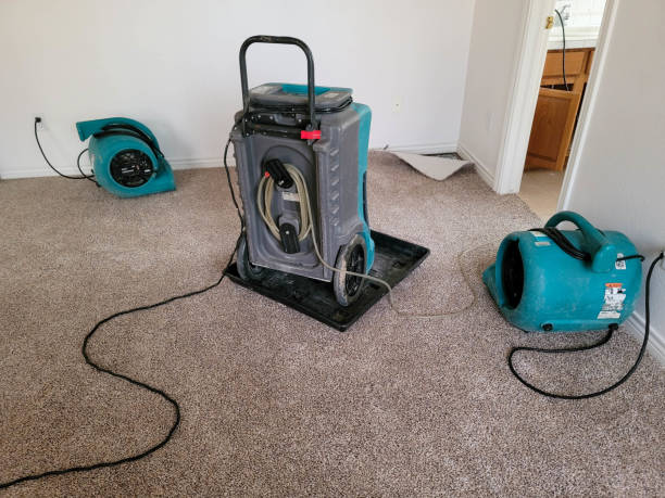 Best Flood restoration services  in Goshen, KY