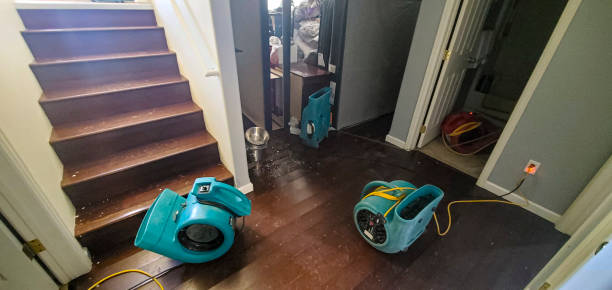 Best 24/7 water damage repair  in Goshen, KY