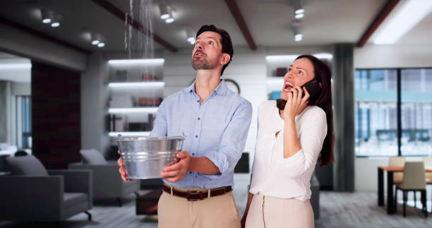 Best Mold removal after water damage  in Goshen, KY