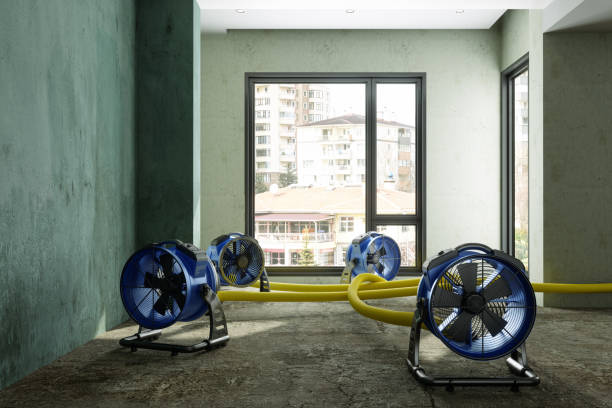 Best Carpet water damage restoration  in Goshen, KY